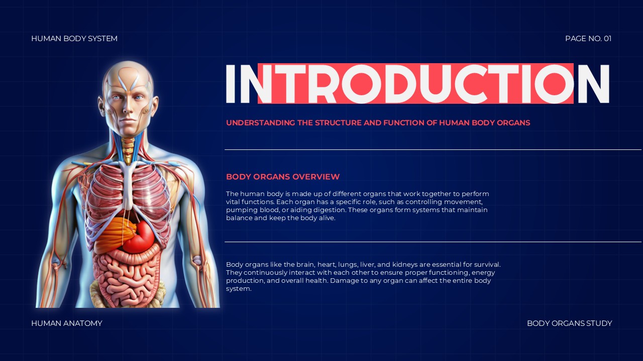 Body Organs Template - introduction slide with anatomical illustration