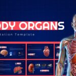 Body Organs Template - cover slide with anatomical torso illustration