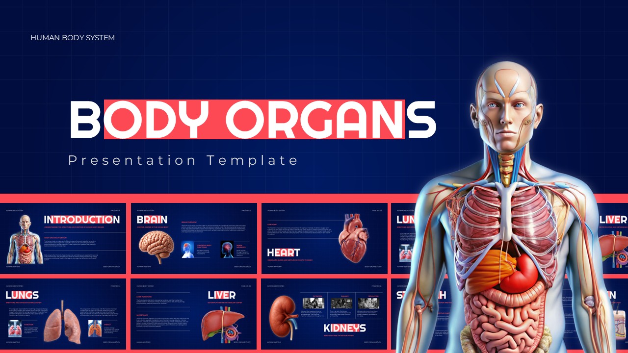 Body Organs Template - cover slide with anatomical torso illustration
