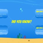 SpongeBob SquarePants Question Slide