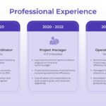 Interview Template - Interview Template Work Experience Template