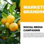 Plantilla de plan de lanzamiento de producto: diapositiva de marketing con diseño de 3 columnas que incluye imágenes del producto y de cítricos.