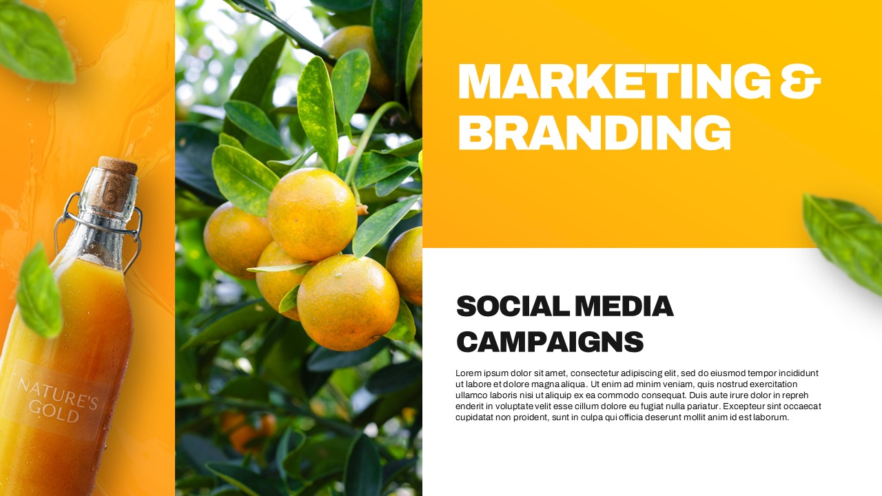 Plantilla de plan de lanzamiento de producto: diapositiva de marketing con diseño de 3 columnas que incluye imágenes del producto y de cítricos.