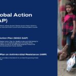 Global Migration Report Template - WHO action plan slide with children photo and policy explanation text