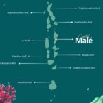 Maldives Template - Geographic map slide showing Maldives atolls with capital Malé and island locations labeled
