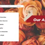 Moodboard Agenda Template - Split layout with orange ranunculus background, white content box, numbered agenda items