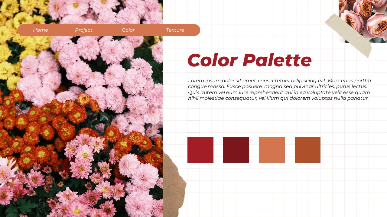 Moodboard Color Palette Template - Chrysanthemums background, color swatches in burgundy and coral tones