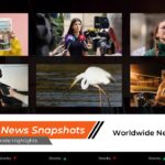 Reuters Template - Global news grid to showcase worldwide highlights and international stories