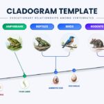 Cladogram Template - Evolutionary tree branching from fish through amphibians to mammals with colorful species icons