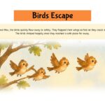 Courage Storyboard - Birds escape flying to safety
