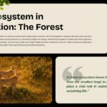 Ecosystem Education Template - forest example slide with mushroom and cheetah images, split content layout