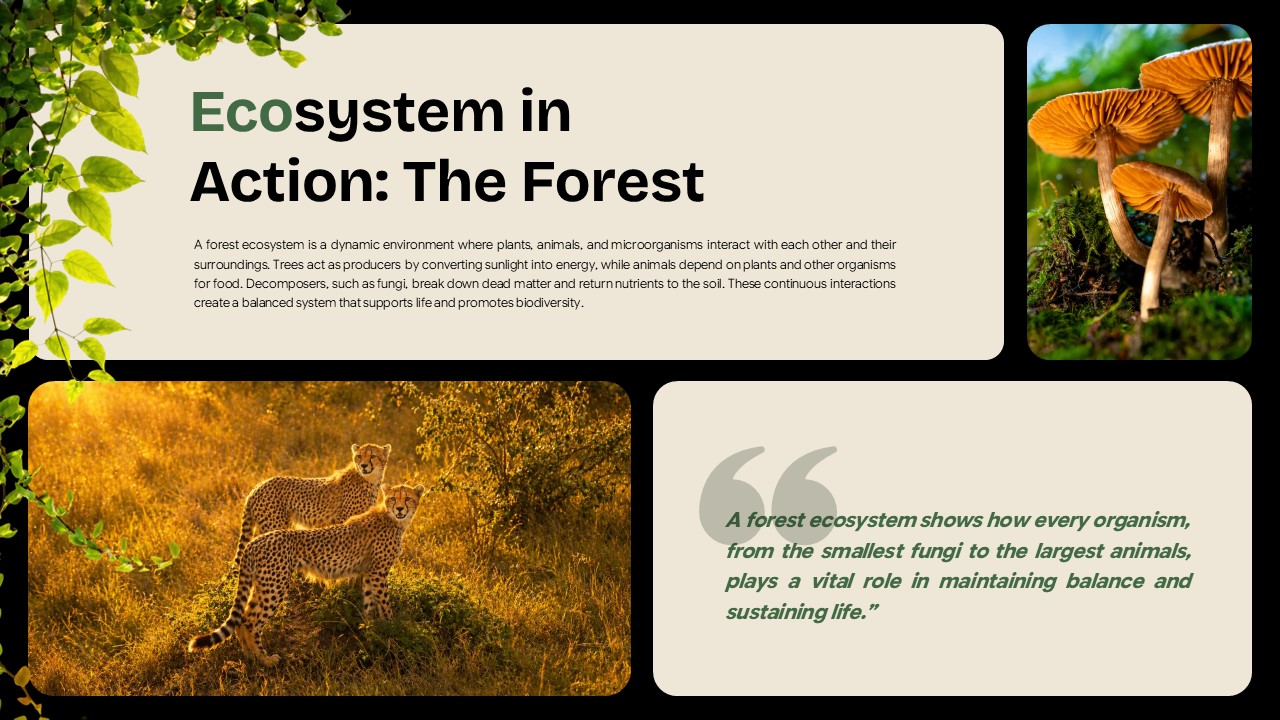 Ecosystem Education Template - forest example slide with mushroom and cheetah images, split content layout
