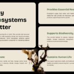 Ecosystem Education Template - four-quadrant benefits layout with central bird image and sectioned content areas