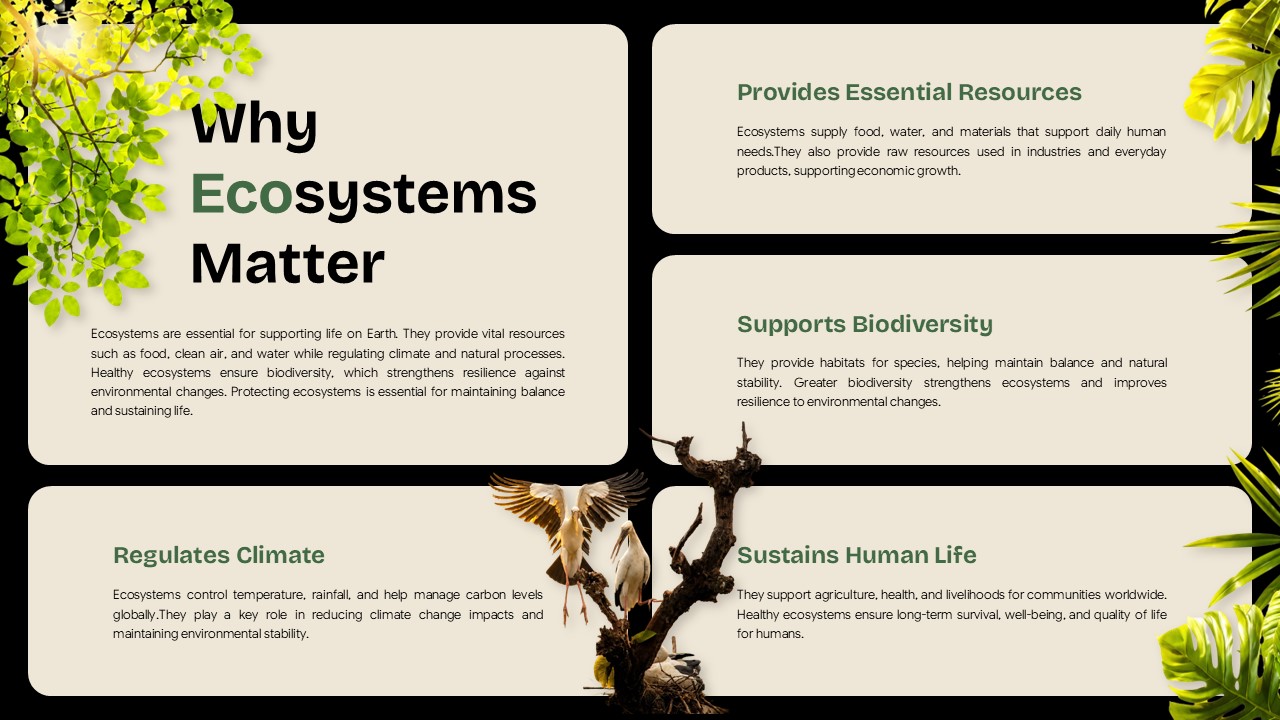 Ecosystem Education Template - four-quadrant benefits layout with central bird image and sectioned content areas
