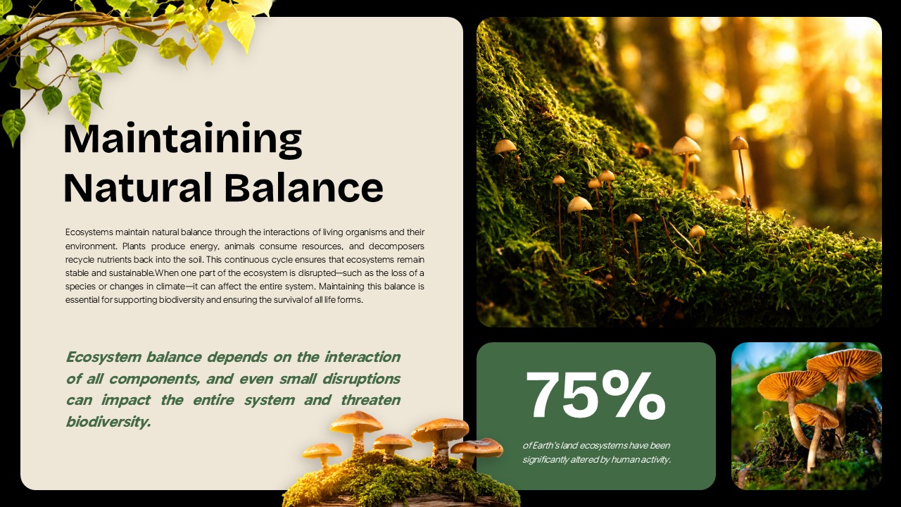 Ecosystem Education Template - natural balance slide with 75% statistic box, moss and mushroom photography
