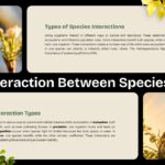 Ecosystem Education Template - species interactions slide with bee and bird images, multi-panel text layout