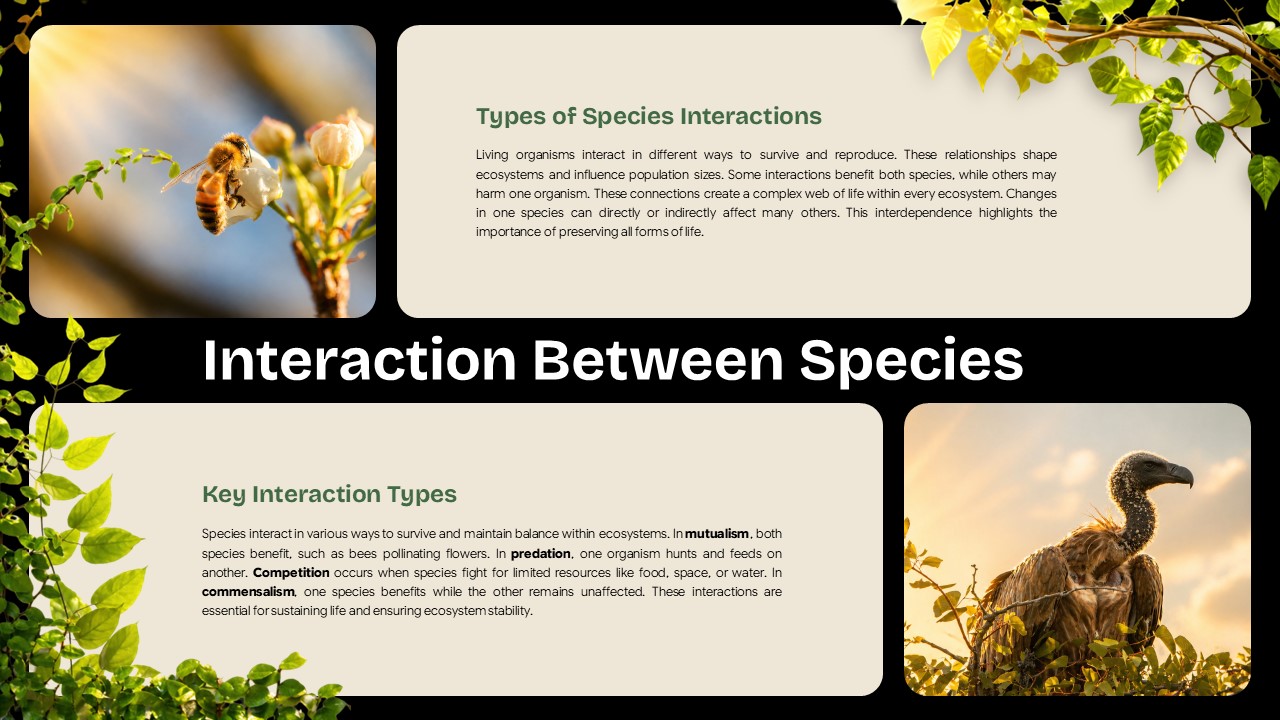 Ecosystem Education Template - species interactions slide with bee and bird images, multi-panel text layout