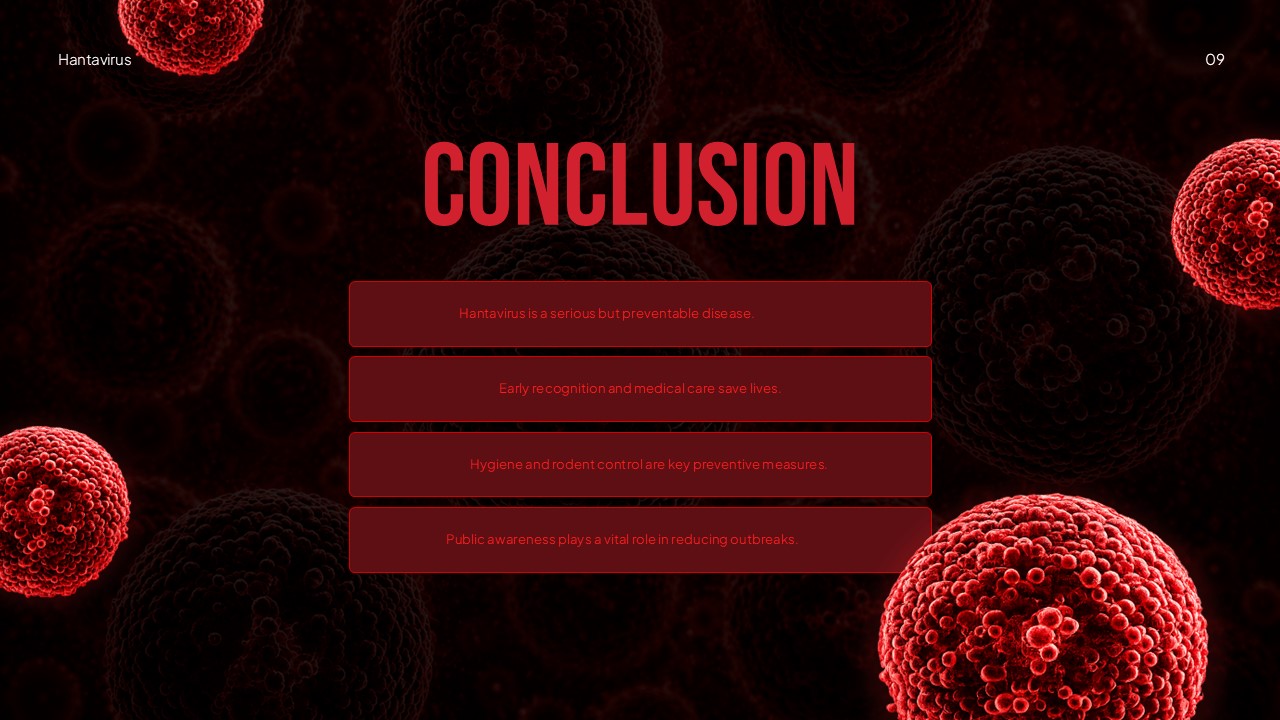 Hantavirus presentation conclusion slide key takeaway summary points