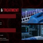 Hantavirus diagnosis treatment slide blood tests medical care options