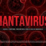 Hantavirus presentation title slide with causes symptoms prevention subtitle