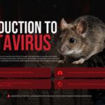 Hantavirus introduction slide with rodent transmission information boxes