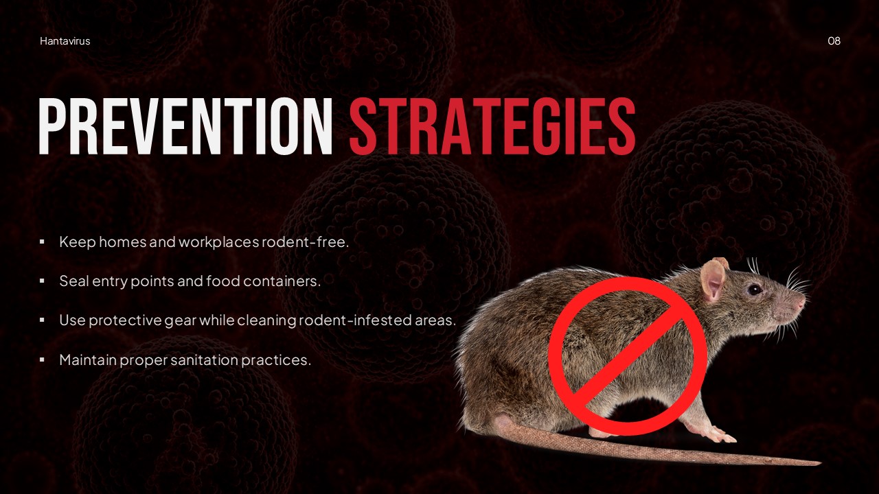 Hantavirus prevention strategies slide rodent control sanitation measures