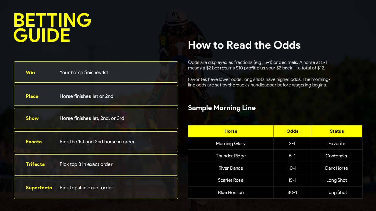 Derby Betting Guide Template - Odds explanation and morning line table with horse racing bet types