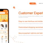 Temu Company Template - Customer experience slide to highlight user benefits and service features