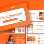 Temu Company Overview Template - Complete presentation overview showcasing all slides for business presentations