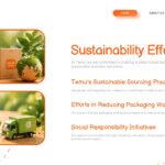 Temu Company Template - Sustainability slide to present environmental initiatives and social responsibility