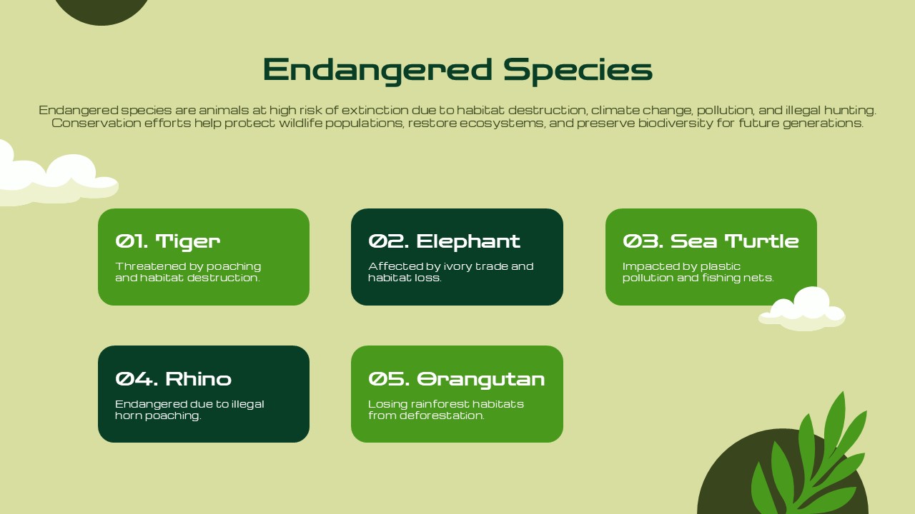 Animal Conservation Template - conservation strategies slide with forest waterfall image, two strategy text boxes