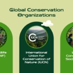 Animal Conservation Template - contact information slide with phone, email, website, address icons in grid layout