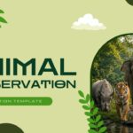 Animal Conservation Template - introduction slide with elephant image, conservation text, three green statistics boxes