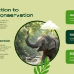 Animal Conservation Template - conservation importance slide with deer interaction image, two green statistics boxes