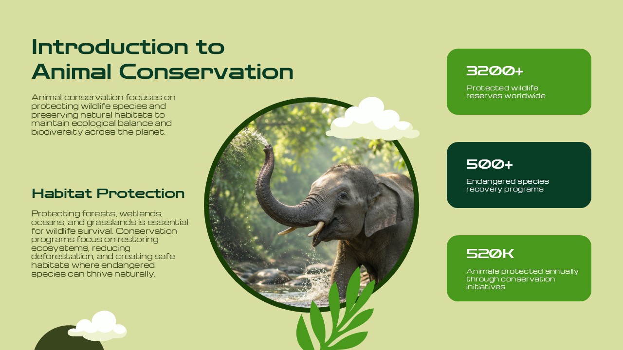 Animal Conservation Template - conservation importance slide with deer interaction image, two green statistics boxes