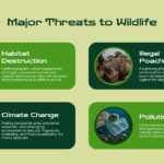 Animal Conservation Template - endangered species slide with five animal cards showing tigers, elephants, sea turtles