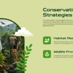 Animal Conservation Template - technology role slide with drone and AI tracking sections, multiple circular images