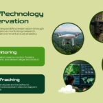Animal Conservation Template - global organizations slide with WWF, IUCN, WCS in arch-shaped cards with logos