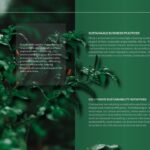 World Environment Day business sustainability slide to present corporate environmental responsibility initiatives