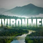 World Environment Day title slide to open environmental awareness and sustainability presentations