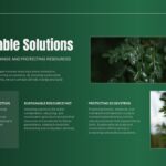 World Environment Day solutions slide to present practical strategies for environmental protection and sustainability