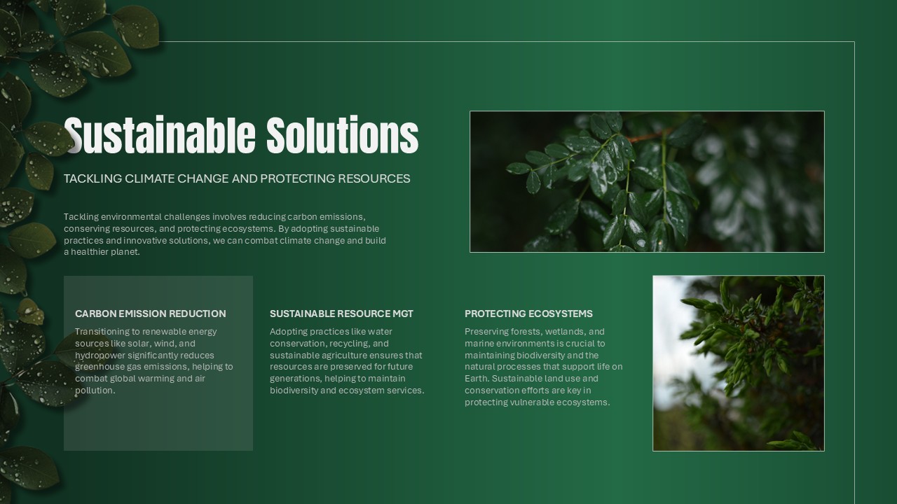World Environment Day solutions slide to present practical strategies for environmental protection and sustainability