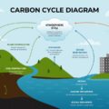 Carbon Cycle Diagram Template - visualize carbon flow across land, atmosphere, ocean, and industry in one slide