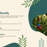 Wildlife Biodiversity Template - jungle waterfall photo in blob frame beside a five-item numbered food chain list on cream