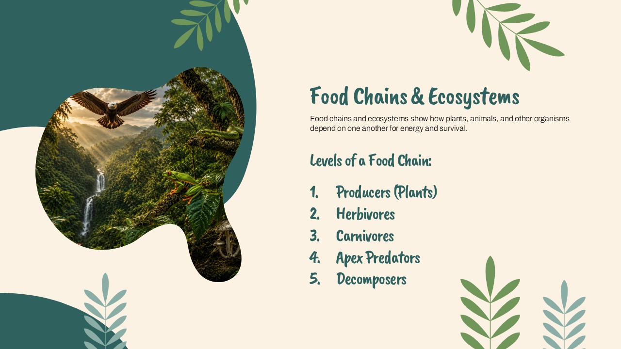 Food Chains and Ecosystems Template - three blob-framed threat photos for Habitat Loss, Climate Change, and Poaching