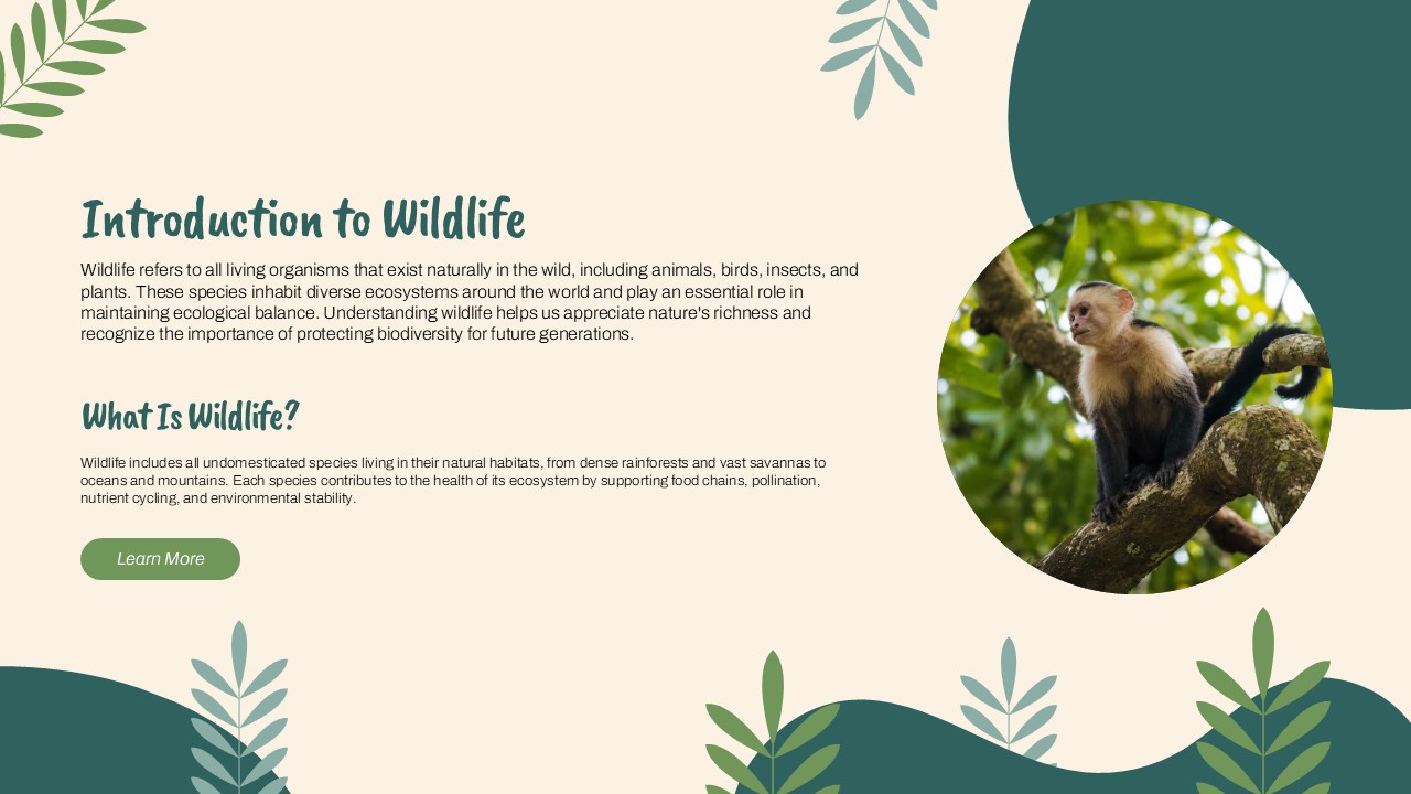 Introduction to Wildlife Template - blob-framed rainforest photo beside a three-item habitat icon list on cream background