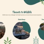 Threats to Wildlife Template - dark teal slide with grouped bar chart showing conservation impact across four initiatives