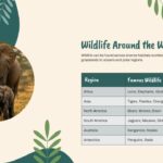 Wildlife Around the World Template - data table slide mapping six global regions to famous wildlife species with teal headers