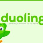 Duolingo Google Slides Template - About slide to present company overview and core value propositions