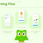Duolingo Template - Feature cards slide to explain how learning happens through Duolingo's core methods